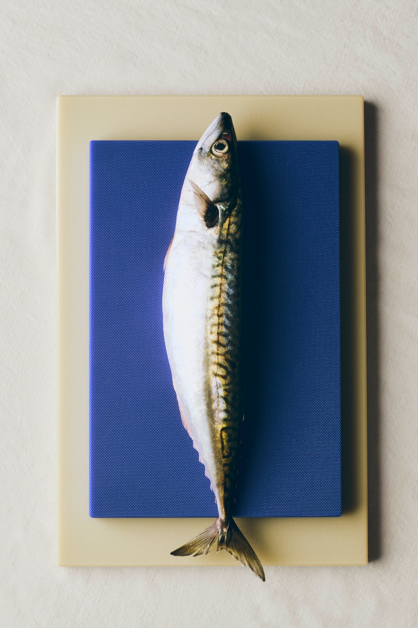 Slice skærebræt, Medium - Cobalt blue